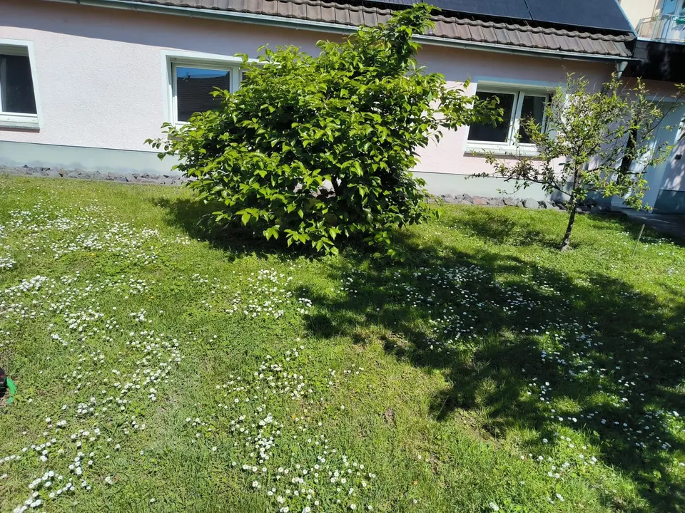 2 Zimmer Wohnung mit 57 m² in Königswinter – Bild 3