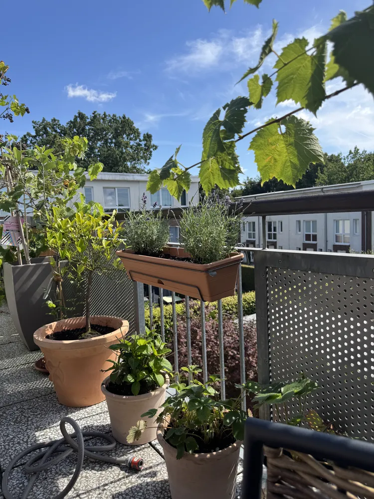 2 Zimmer Wohnung mit 74 m² in Norderstedt – Bild 12