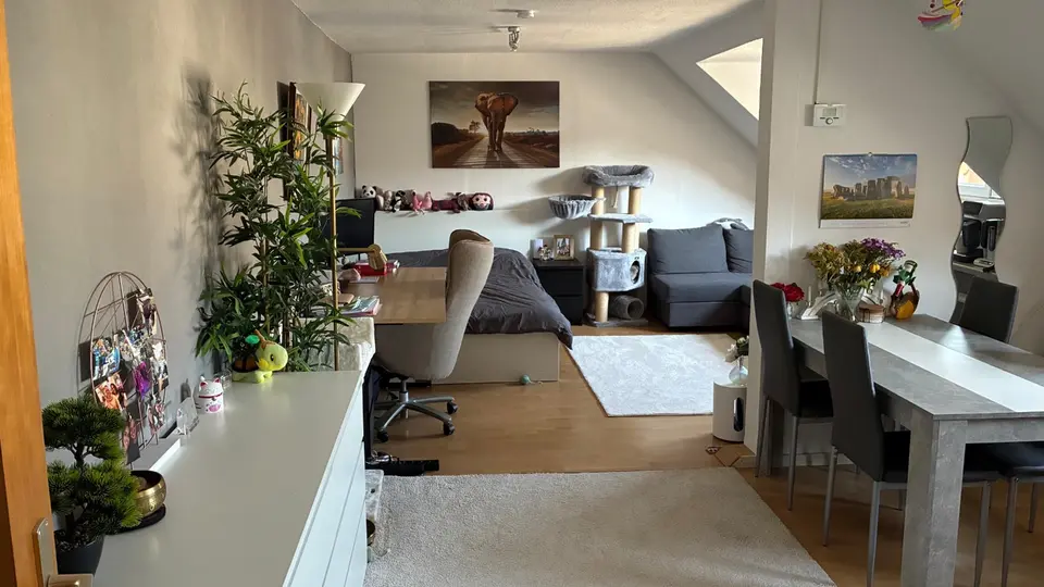 2 Zimmer Wohnung mit 40 m² in Hildesheim – Bild 5