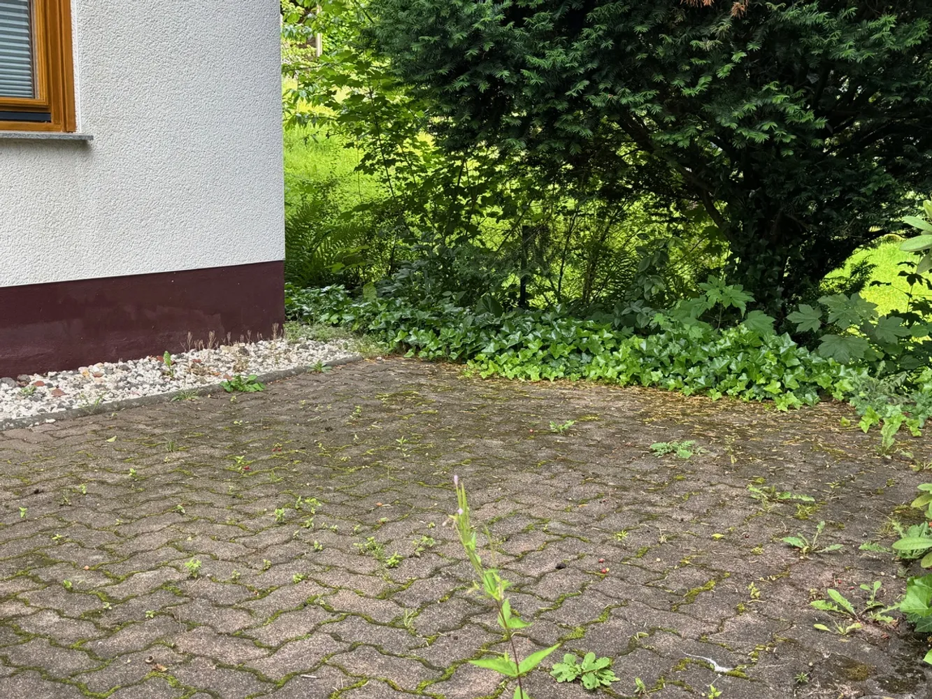1 Zimmer Wohnung mit 40 m² in Siegen – Bild 4