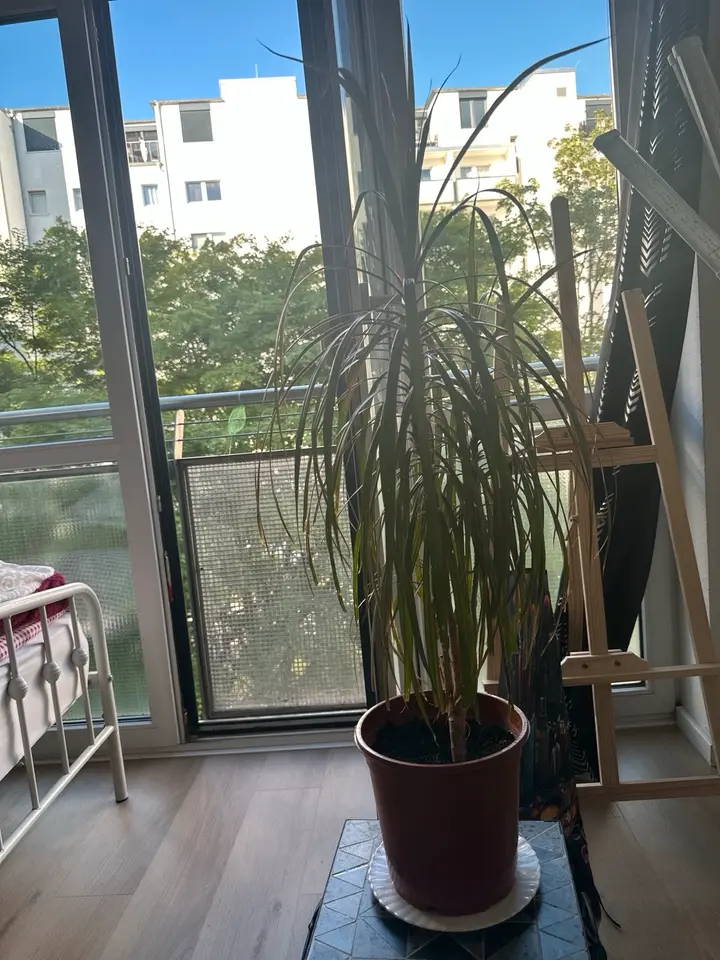 Studio mit 11 m² in Berlin – Bild 2