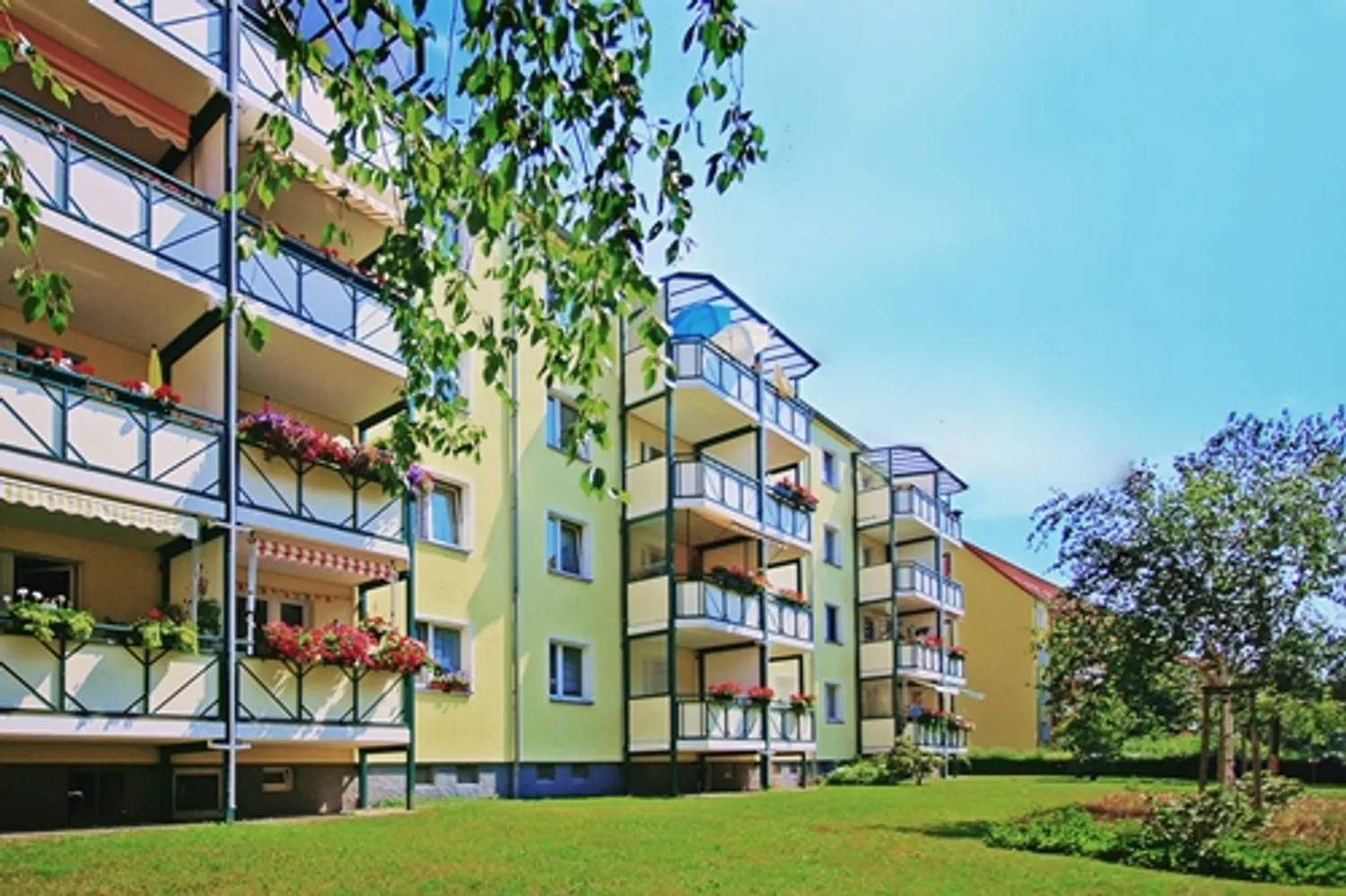 3 Zimmer Wohnung mit 60 m² in Zwickau – Bild 1