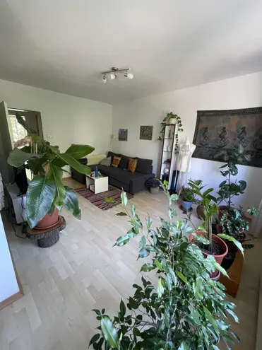 3 Zimmer Wohnung mit 57 m² in Bonn – Bild 2