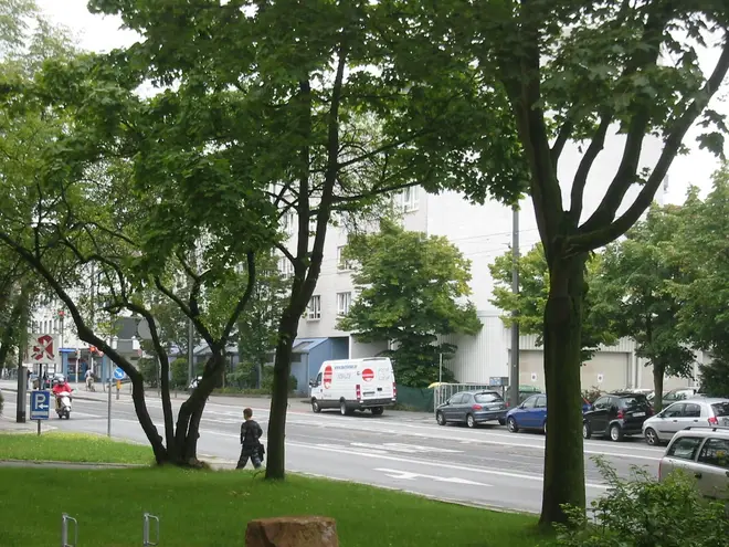 1 Zimmer Wohnung mit 25 m² in Darmstadt – Bild 1