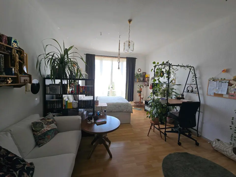 Studio mit 24 m² in Magdeburg – Bild 2