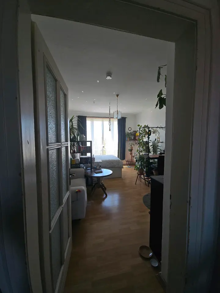 Studio mit 24 m² in Magdeburg – Bild 3