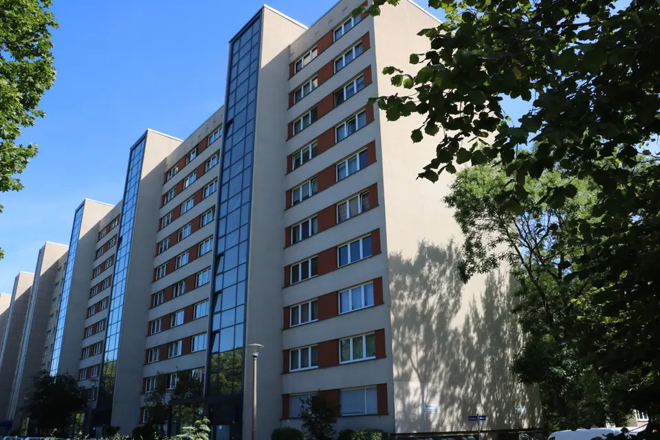 2 Zimmer Wohnung mit 52 m² in Dresden – Bild 3