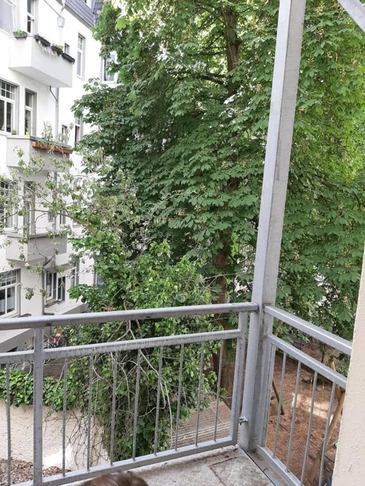 2 Zimmer Wohnung mit 91 m² in Magdeburg – Bild 11