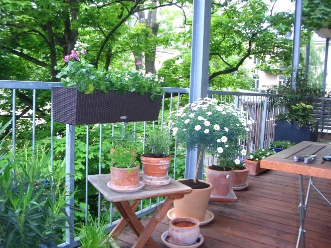 4 Zimmer Wohnung mit 110 m² in Frankfurt am Main – Bild 5