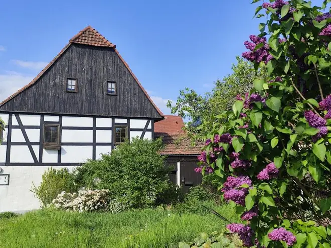 2 Zimmer Wohnung mit 43 m² in Dresden – Bild 3