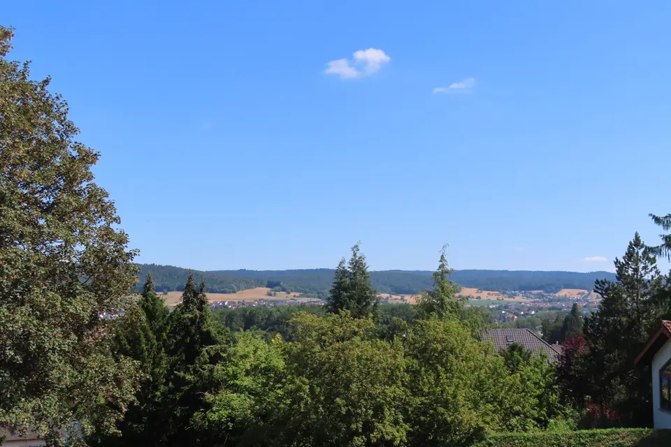 7 Zimmer Haus mit 220 m² in Michelstadt – Bild 9