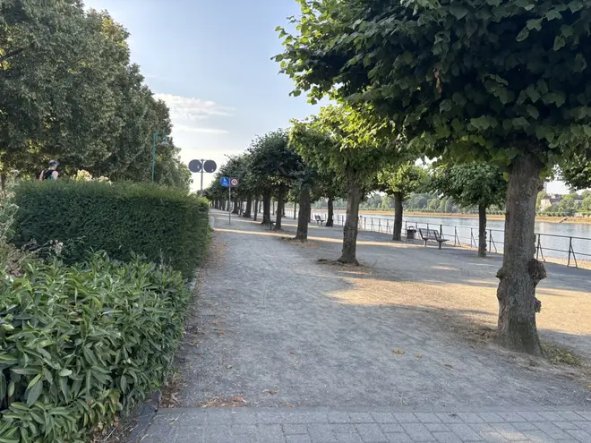 3 Zimmer Wohnung mit 86 m² in Bonn – Bild 11