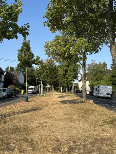 3 Zimmer Wohnung mit 86 m² in Bonn – Bild 10