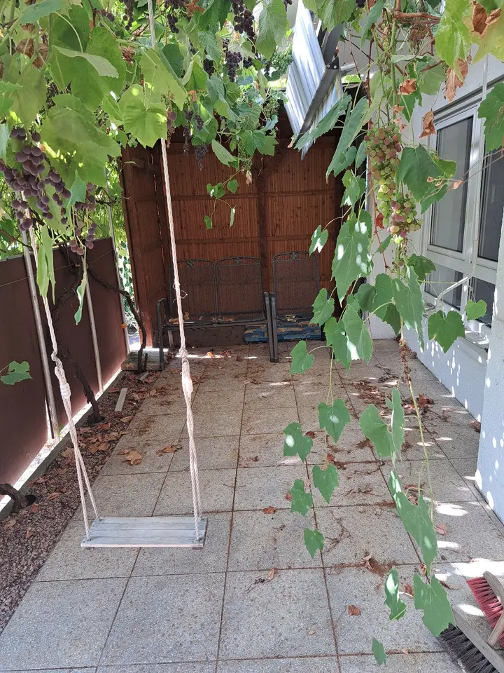 7 Zimmer Haus mit 162 m² in Worms – Bild 6