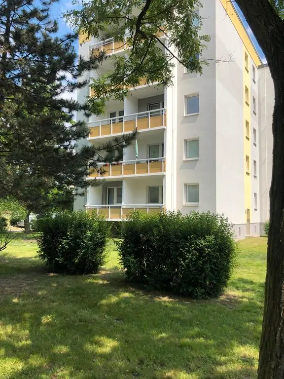 2 Zimmer Wohnung mit 42 m² in Cottbus – Bild 3