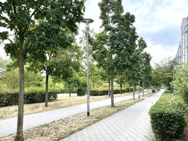 2 Zimmer Wohnung mit 60 m² in Mainz – Bild 12