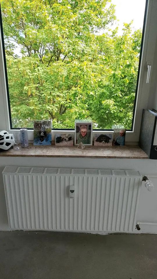 2 Zimmer Wohnung mit 56 m² in Bremerhaven – Bild 3