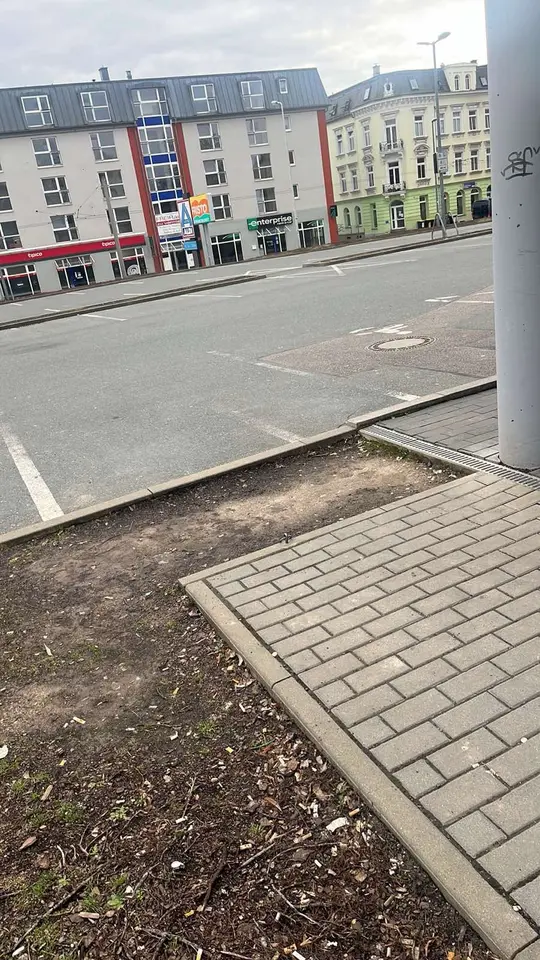 1 Zimmer Wohnung mit 55 m² in Zwickau – Bild 2