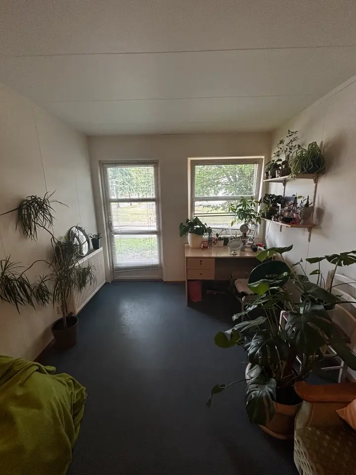 WG-Zimmer mit 19 m² in Stralsund – Bild 5