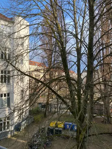 2 Zimmer Wohnung mit 56 m² in Berlin – Bild 3