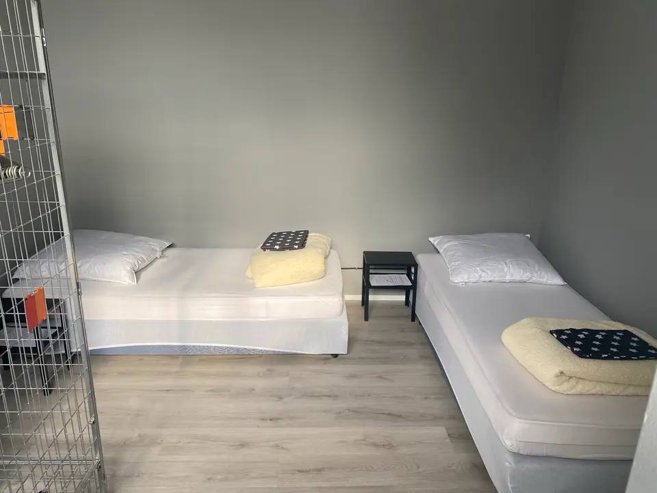 3 Zimmer Wohnung mit 60 m² in Offenbach – Bild 2