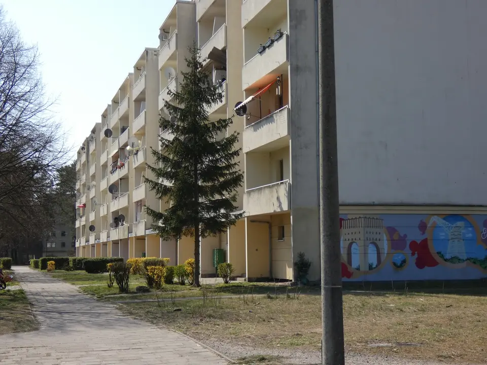 2 Zimmer Wohnung mit 49 m² in Eberswalde – Bild 3