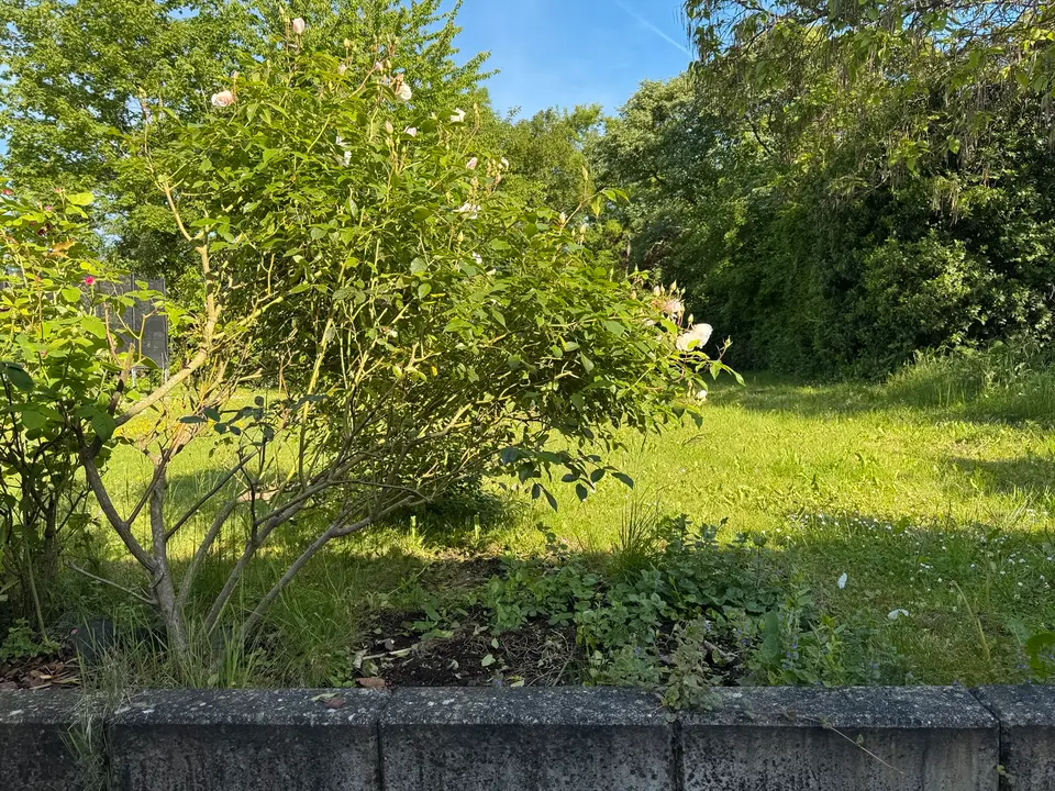 3 Zimmer Wohnung mit 100 m² in Bornheim – Bild 3