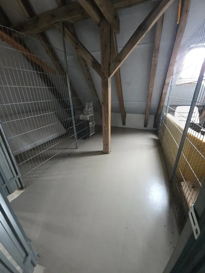 WG-Zimmer mit 14 m² in Nürnberg – Bild 9