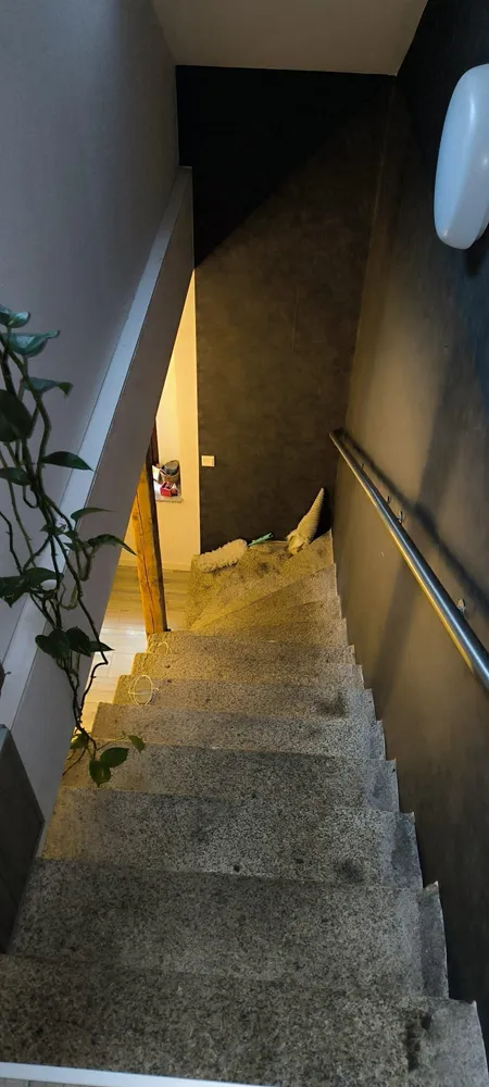 5 Zimmer Wohnung mit 199 m² in Görlitz – Bild 7