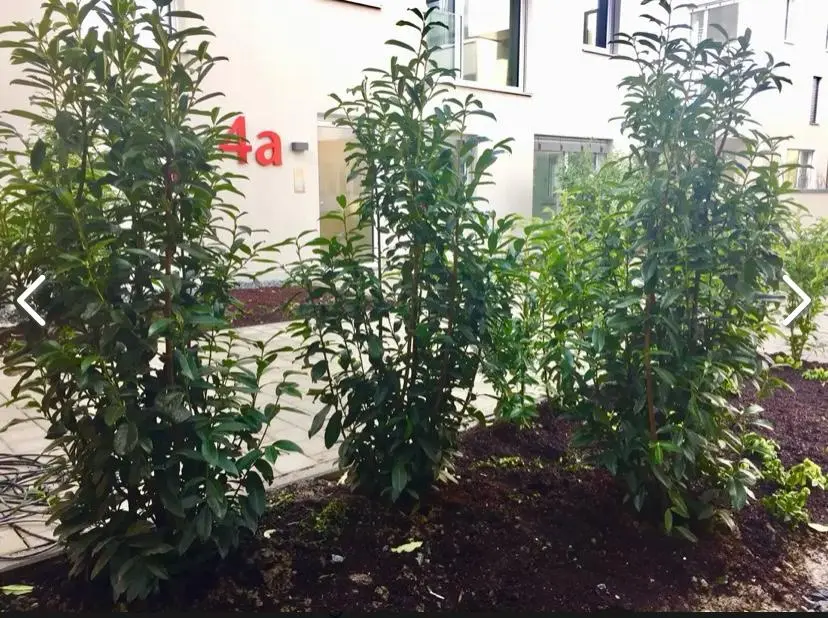 Studio mit 47 m² in Passau – Bild 9