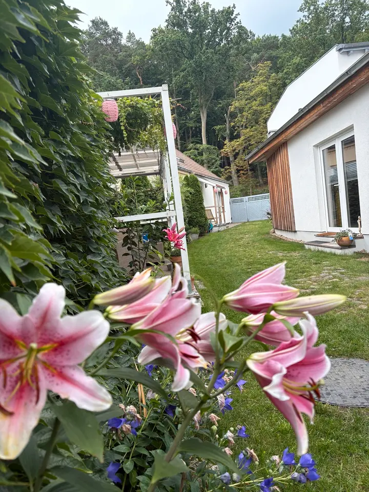 WG-Zimmer mit 95 m² in Eberswalde – Bild 5