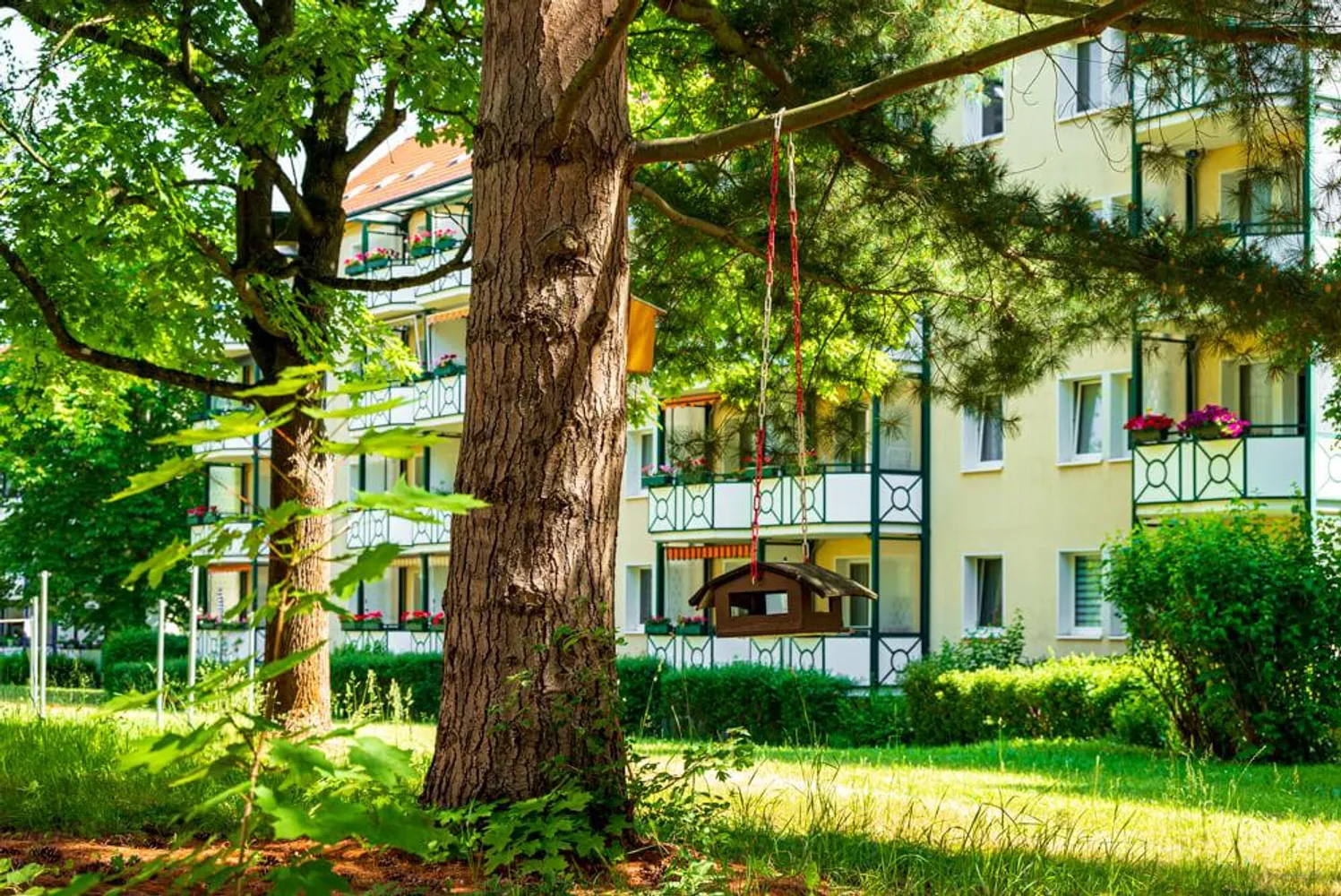 3 Zimmer Wohnung mit 61 m² in Zwickau – Bild 3