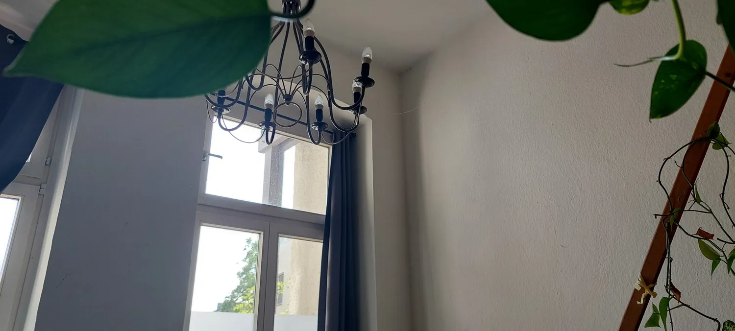 2 Zimmer Wohnung mit 31 m² in Koblenz – Bild 2