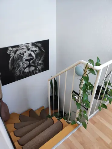 3 Zimmer Wohnung mit 67 m² in Köln – Bild 5