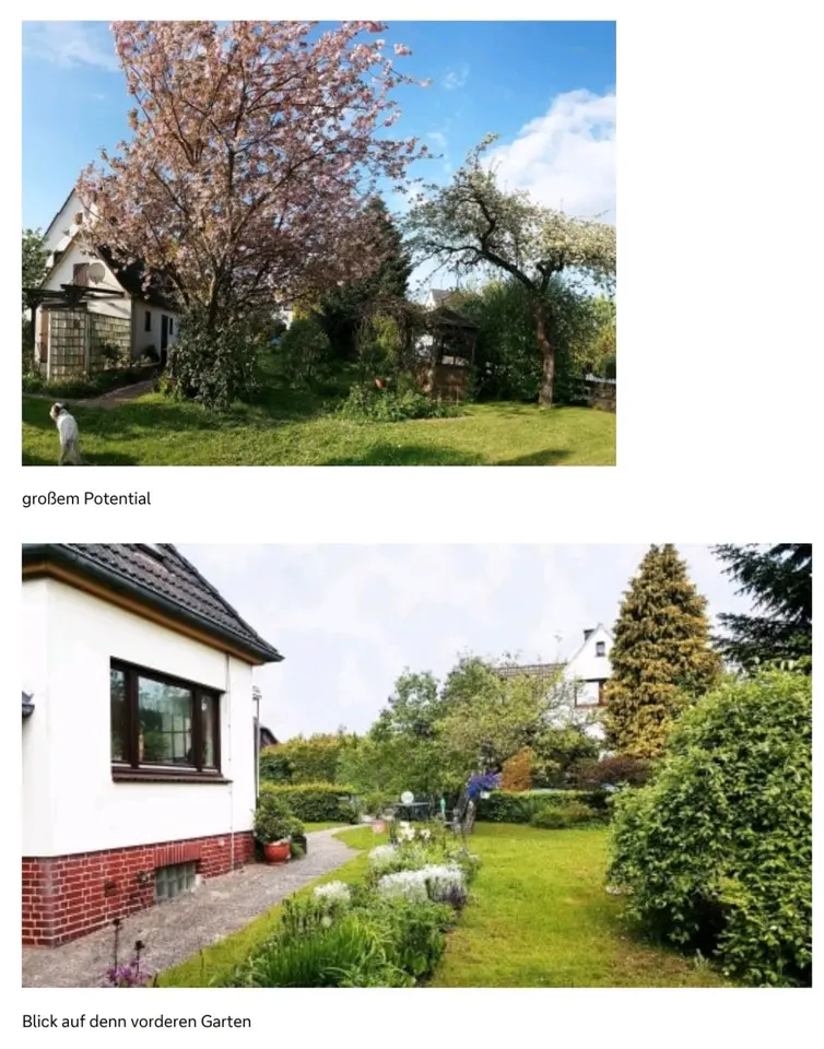 5 Zimmer Haus mit 120 m² in Winsen (Luhe) – Bild 3