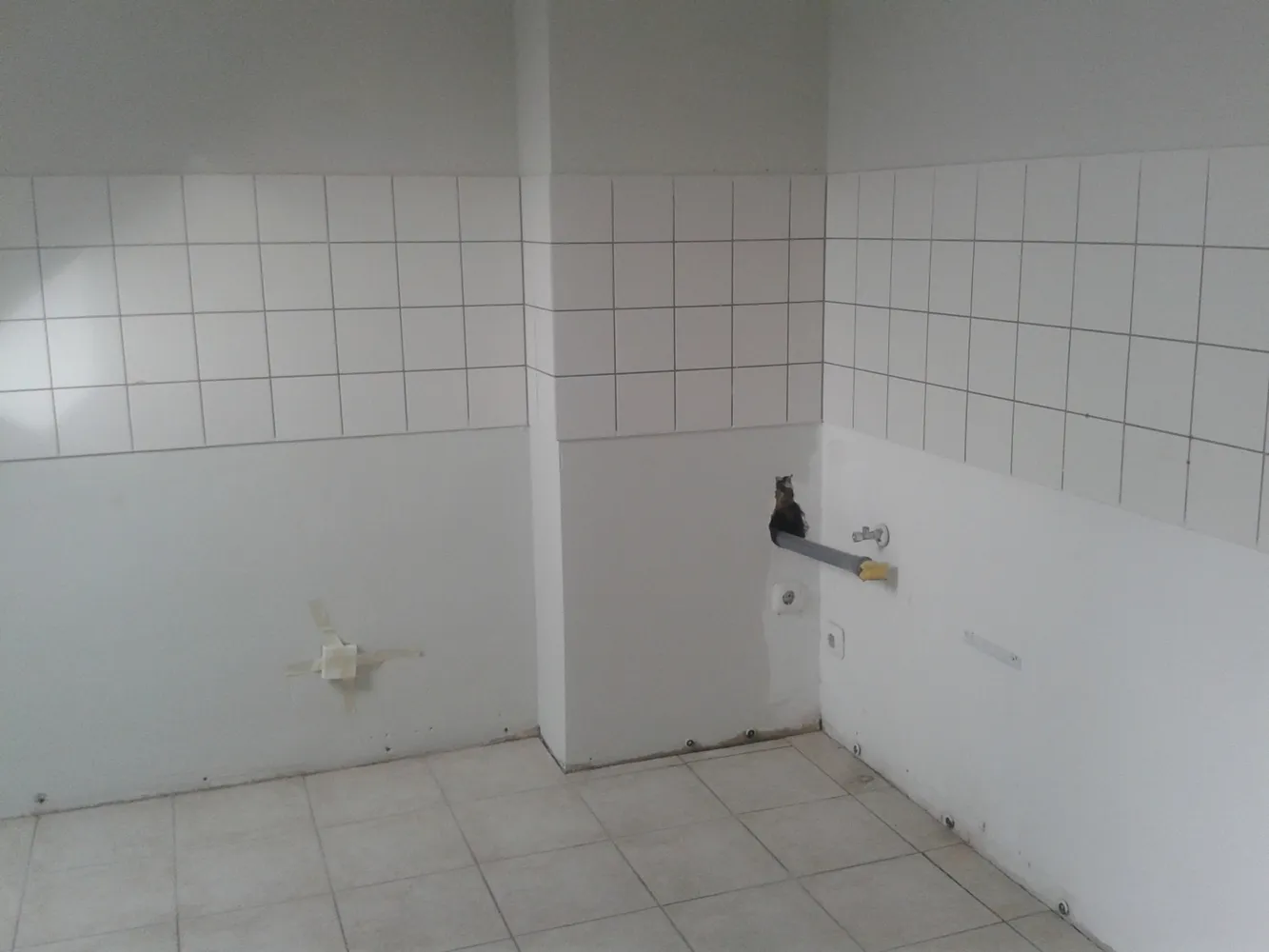 3 Zimmer Wohnung mit 59 m² in Gelsenkirchen – Bild 12