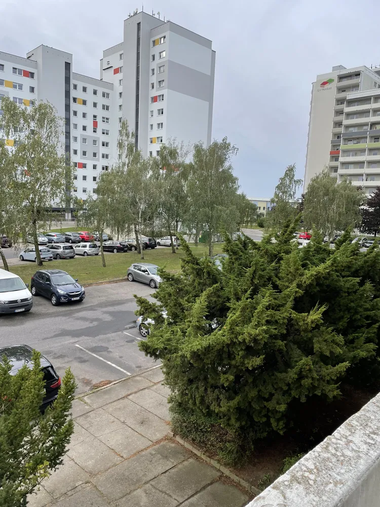 3 Zimmer Wohnung mit 63 m² in Neubrandenburg – Bild 3
