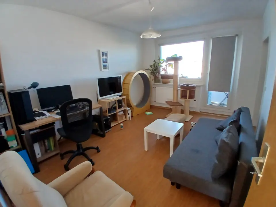 2 Zimmer Wohnung mit 46 m² in Greifswald – Bild 1