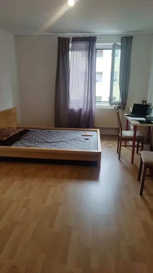 Studio mit 25 m² in Halle (Saale) – Bild 2