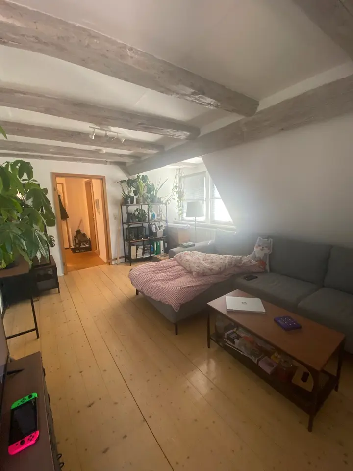 Studio mit 20 m² in Karlsruhe – Bild 1