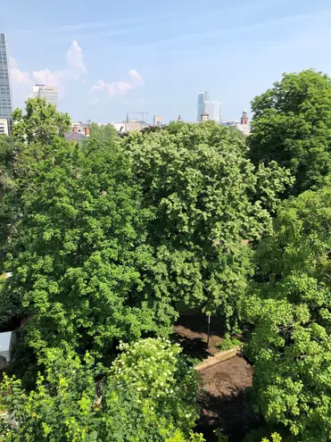 3 Zimmer Wohnung mit 165 m² in Frankfurt am Main – Bild 5