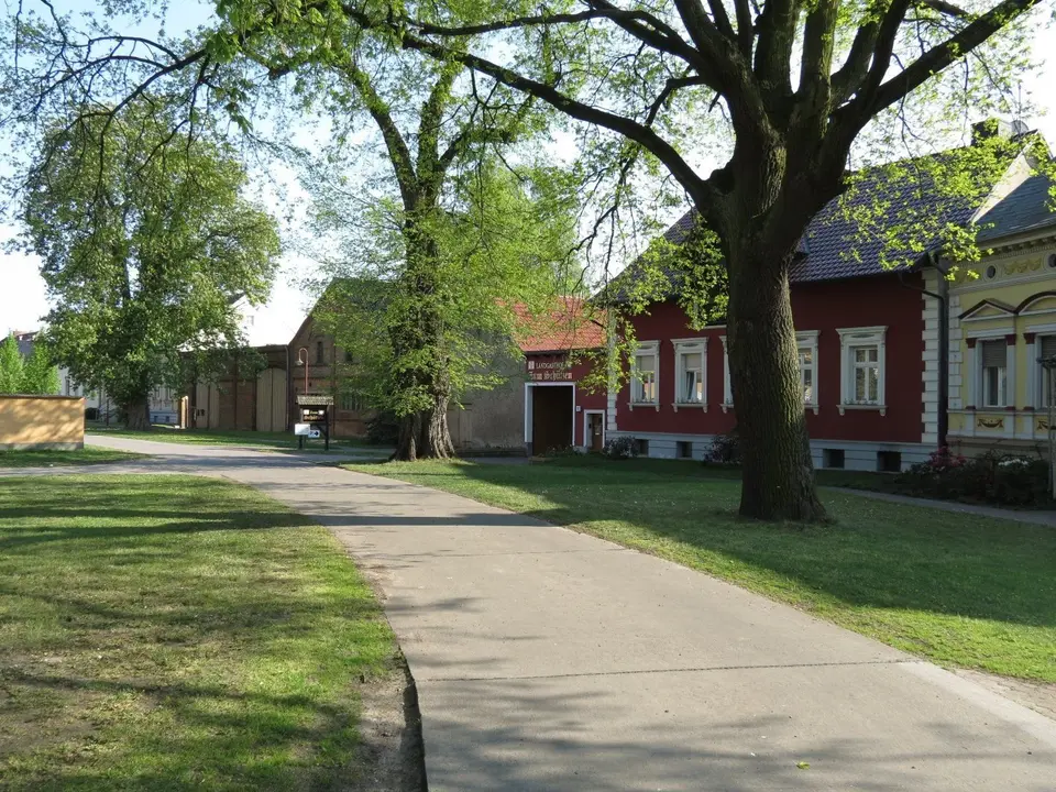 WG-Zimmer mit 100 m² in Potsdam – Bild 7