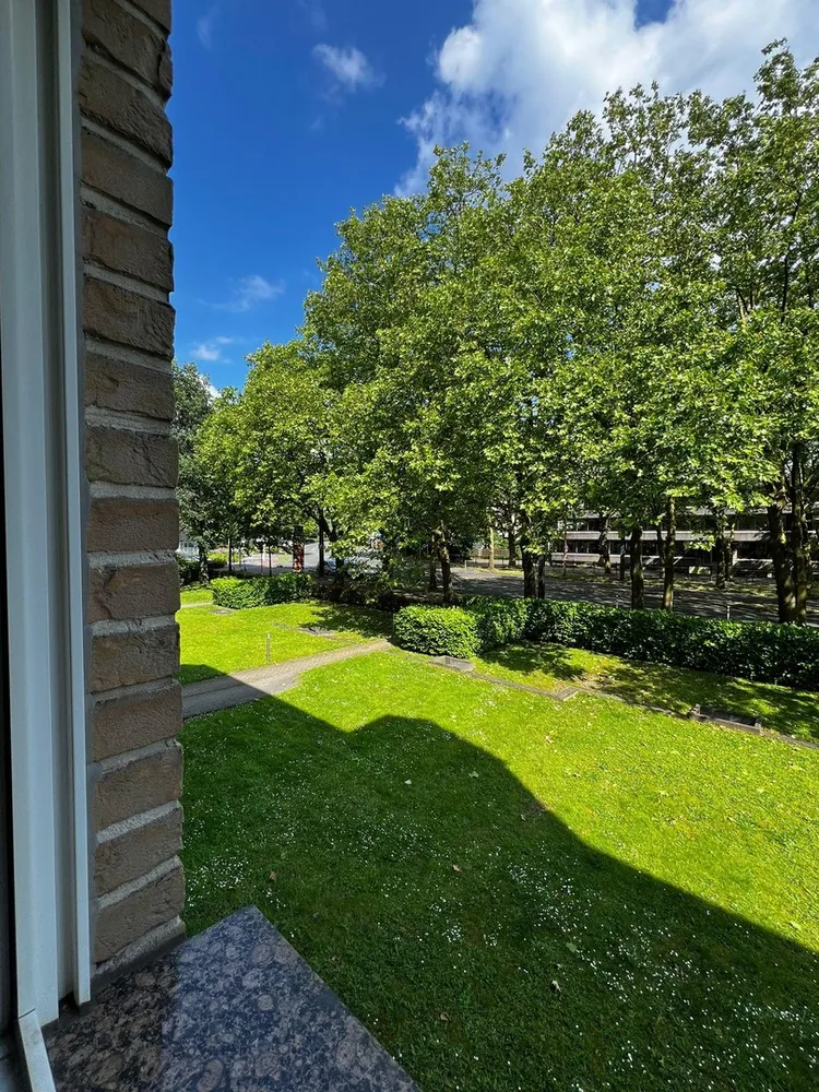 4 Zimmer Wohnung mit 81 m² in Mülheim an der Ruhr – Bild 10