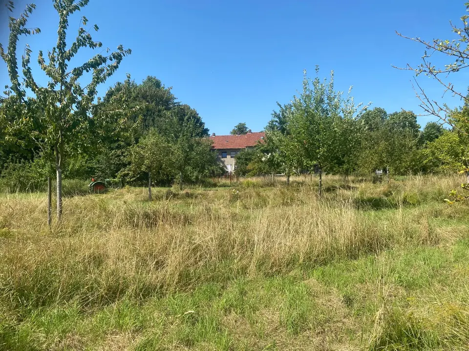 5 Zimmer Haus mit 120 m² in Peine – Bild 4
