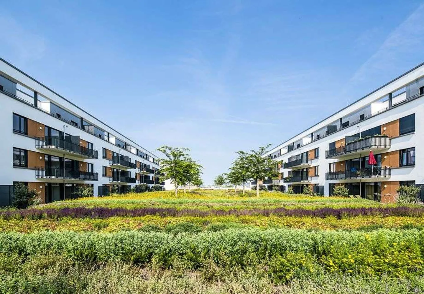 4 Zimmer Wohnung mit 159 m² in Offenbach am Main – Bild 2