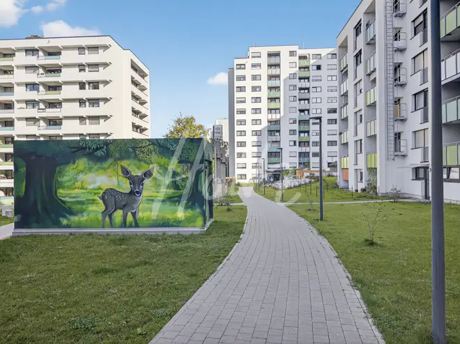 2 Zimmer Wohnung mit 77 m² in Heidelberg – Bild 1