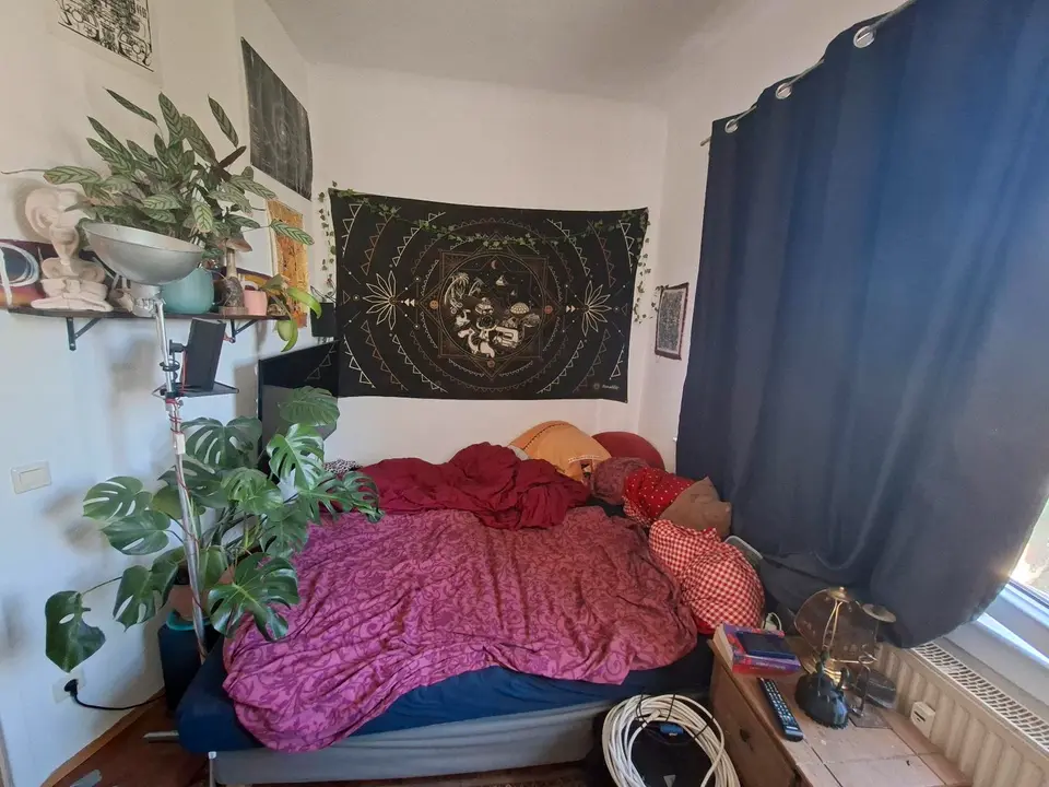 WG-Zimmer mit 14 m² in Jena – Bild 1