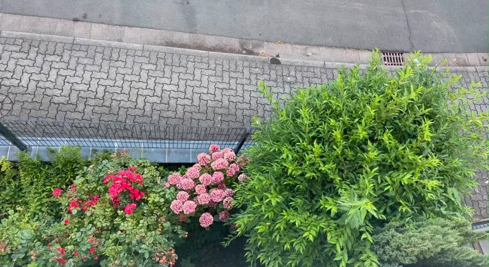 WG-Zimmer mit 16 m² in Siegen – Bild 4