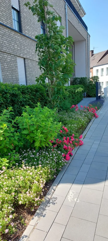 4 Zimmer Wohnung mit 136 m² in Mönchengladbach – Bild 2