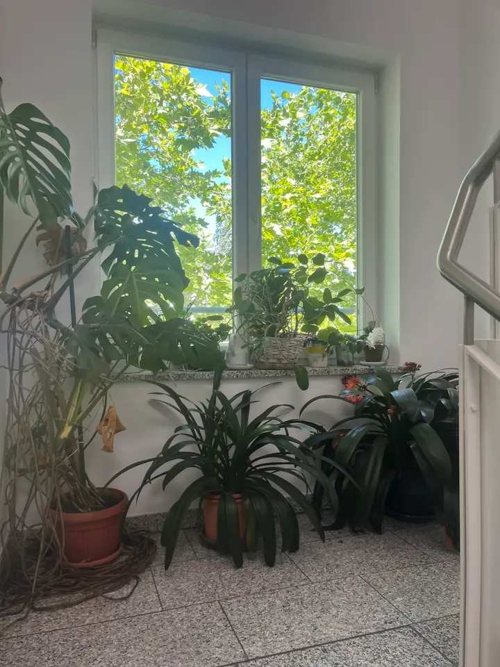 WG-Zimmer mit 50 m² in Regensburg – Bild 6